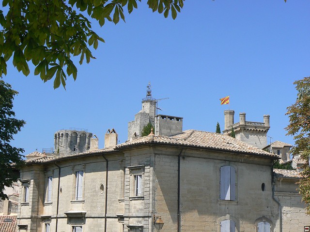 P1030548.jpg