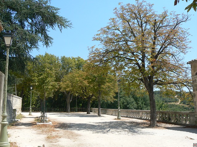 P1030550.jpg