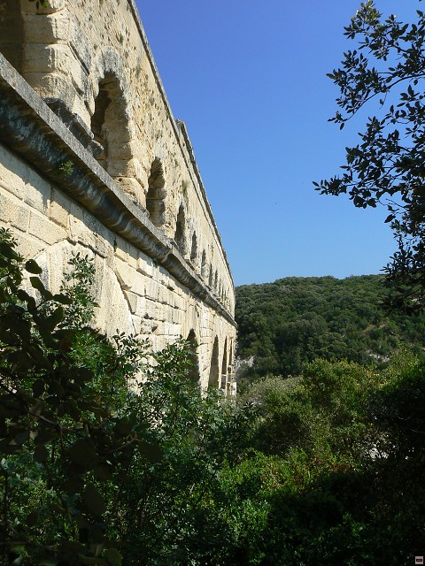 P1030555.jpg