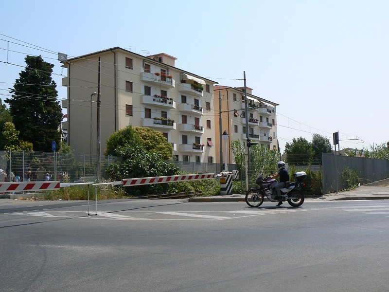 P1000003.jpg
