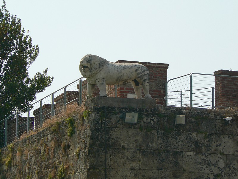 P1000064.jpg