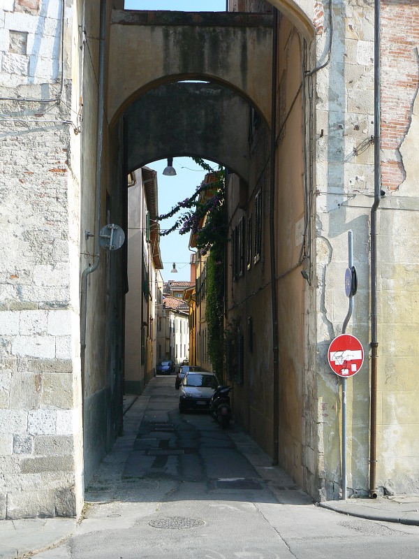 P1000084.jpg