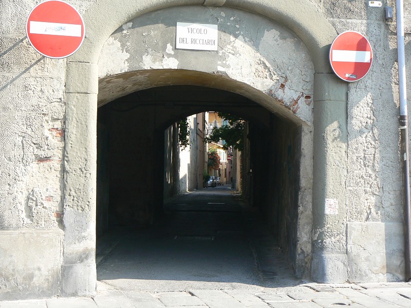 P1000085.jpg