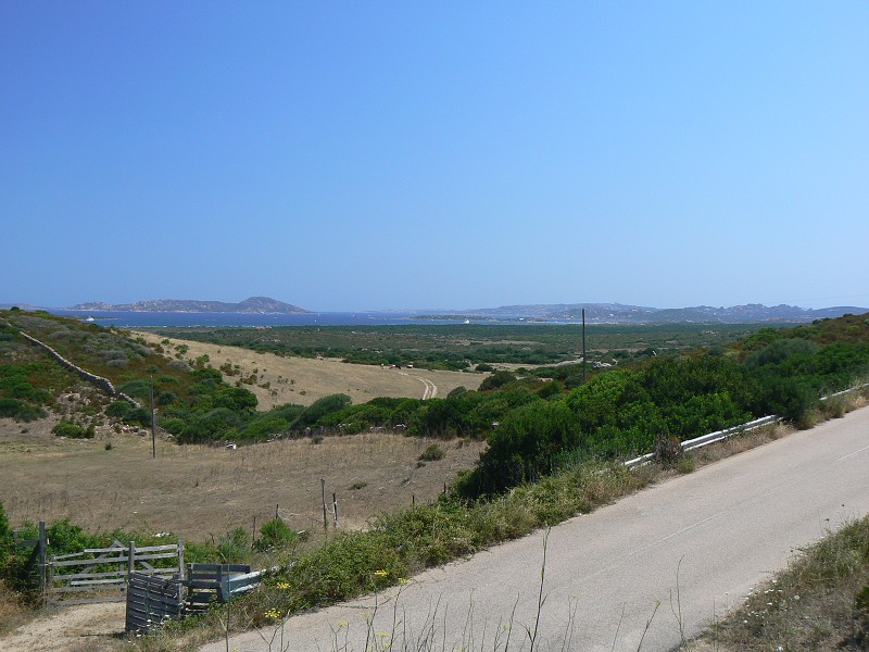 P1000107.jpg