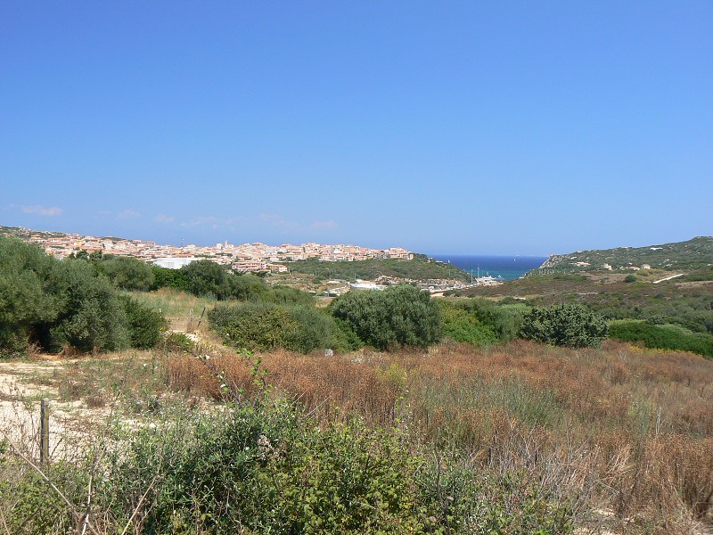 P1000109.jpg