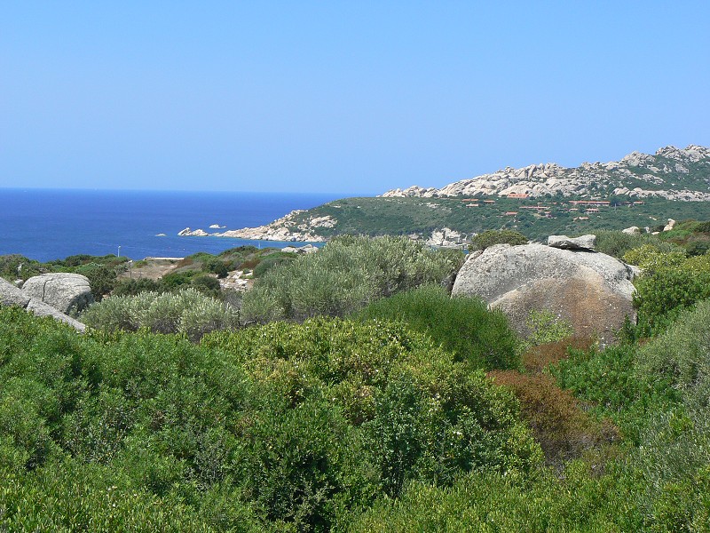 P1000115.jpg