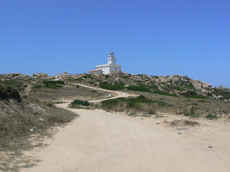 P1000116.jpg