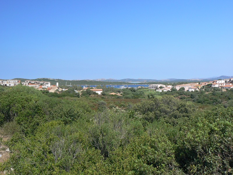 P1000127.jpg