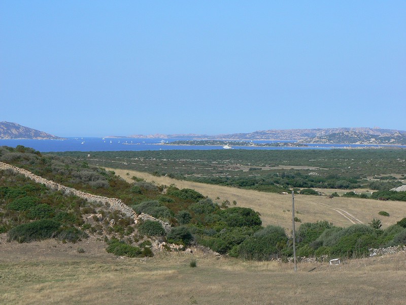 P1000130.jpg
