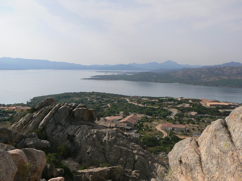 P1000138.jpg