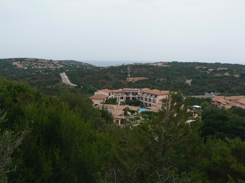 P1000156.jpg