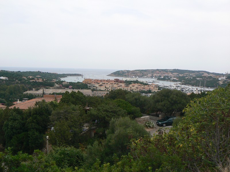 P1000158.jpg