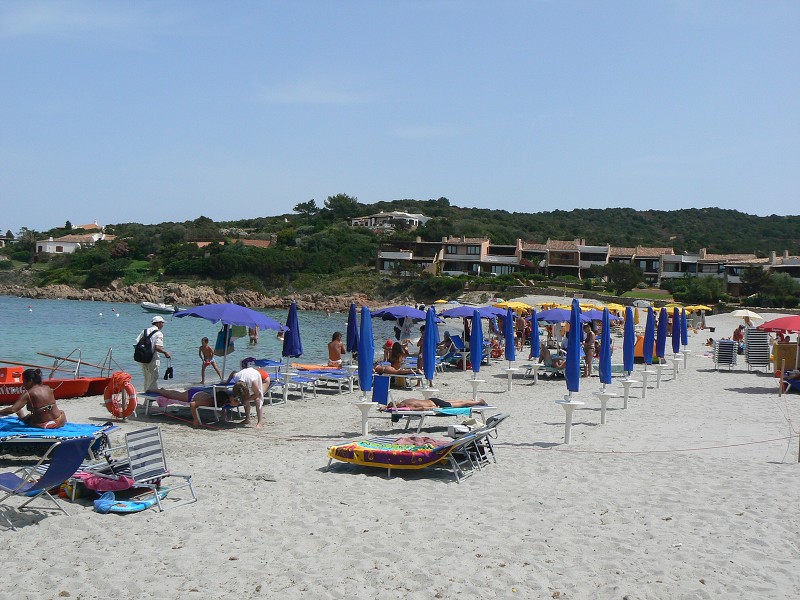 P1000166.jpg