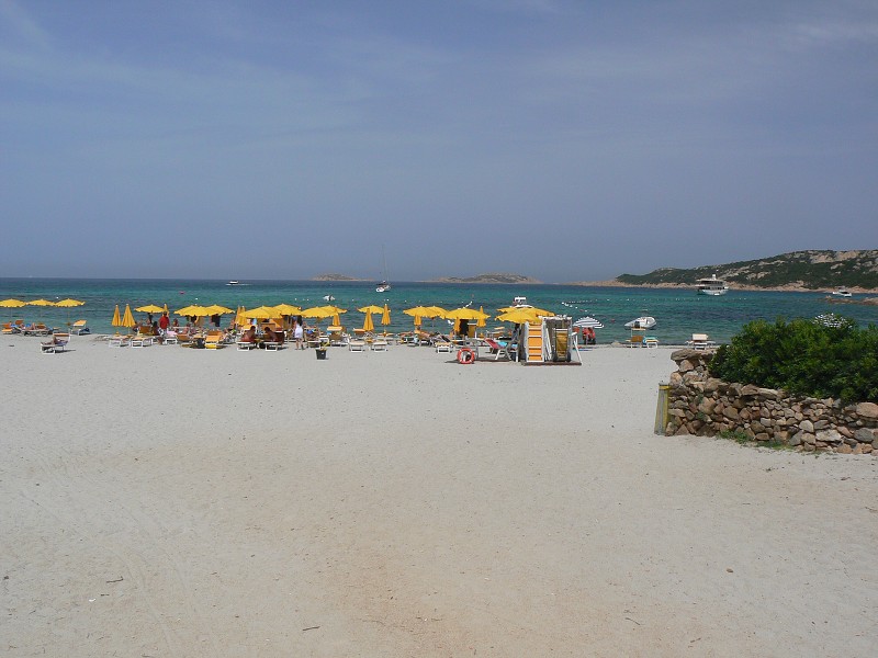P1000169.jpg