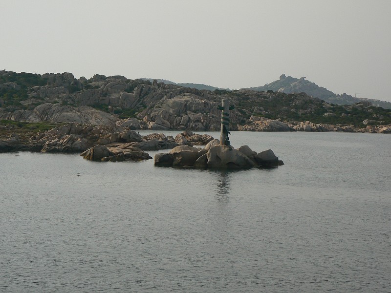 P1000187.jpg