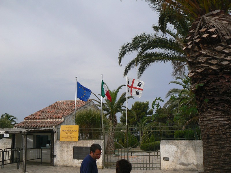 P1000198.jpg