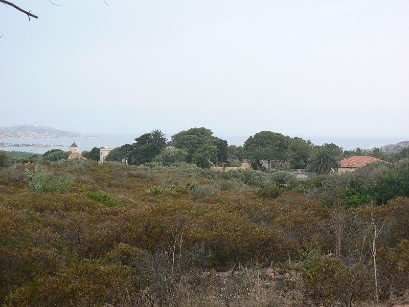 P1000212.jpg