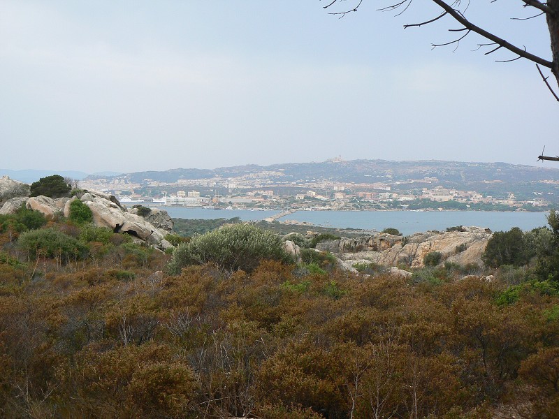 P1000213.jpg