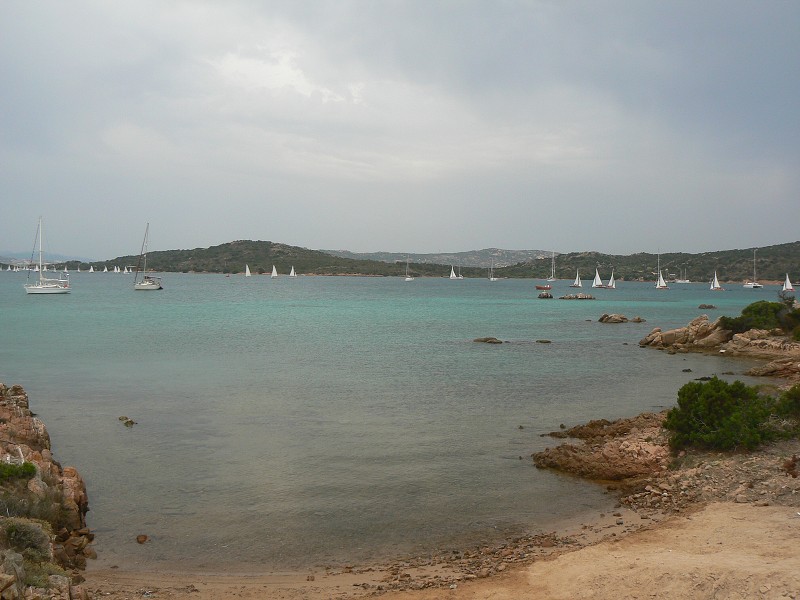 P1000216.jpg