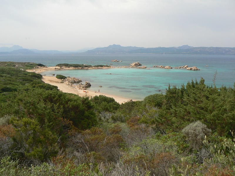 P1000217.jpg