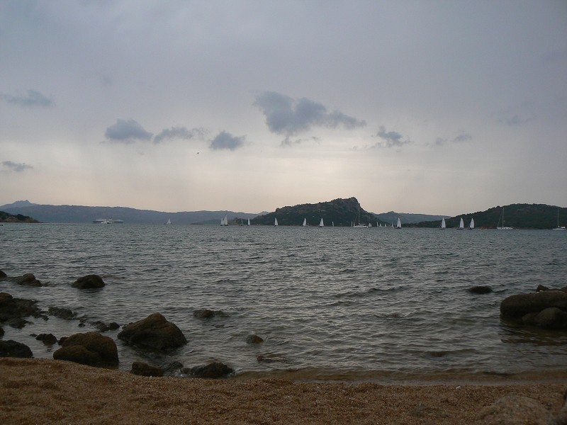 P1000218.jpg