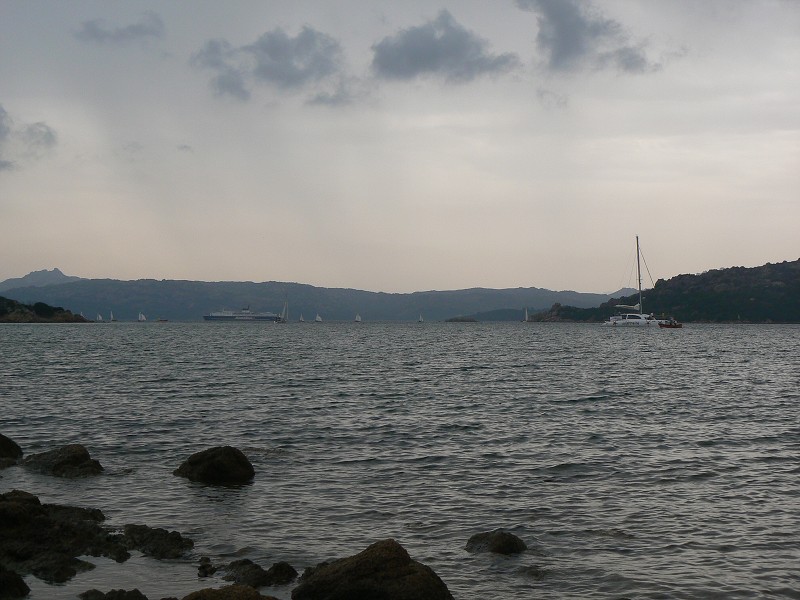 P1000221.jpg