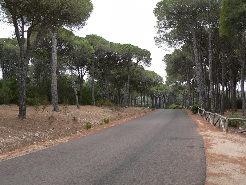 P1000223.jpg