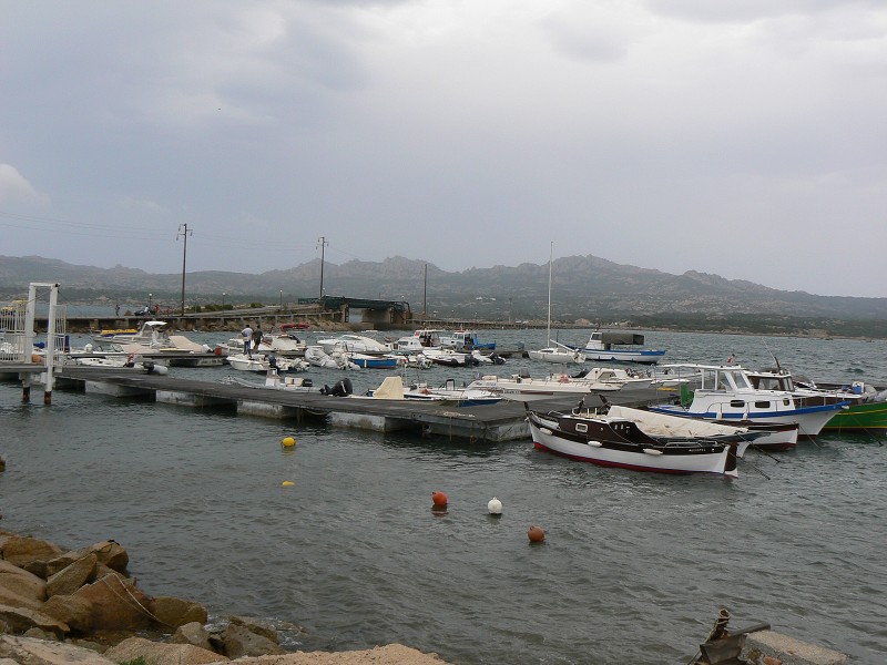 P1000227.jpg