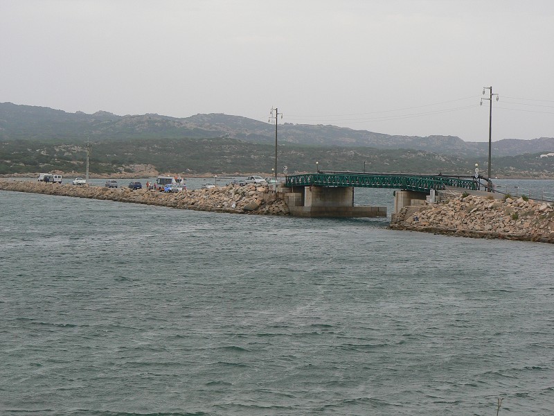 P1000229.jpg
