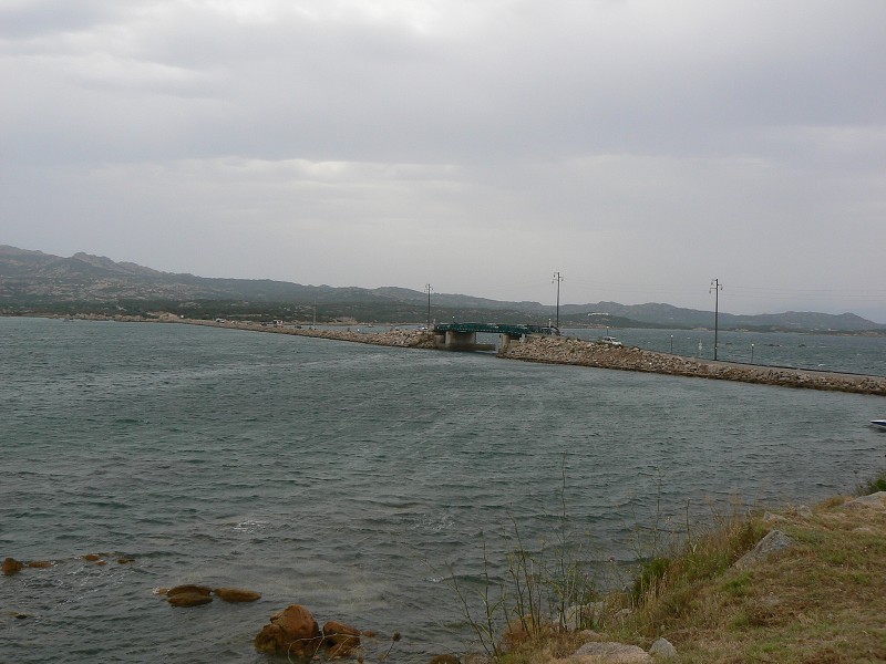 P1000230.jpg