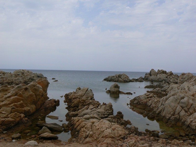 P1000232.jpg