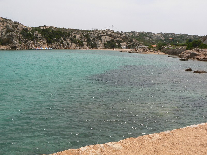 P1000235.jpg