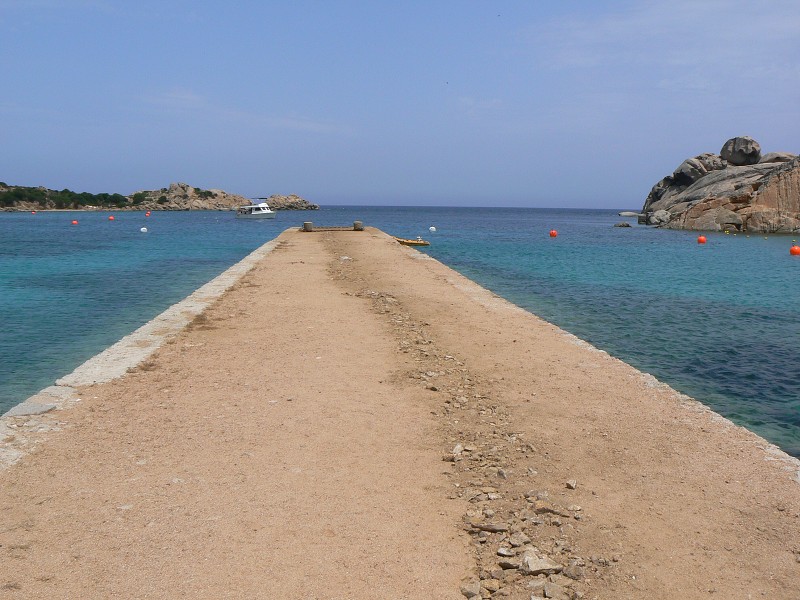 P1000236.jpg