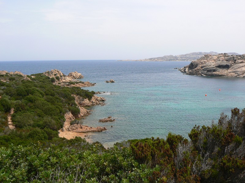 P1000239.jpg