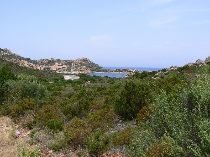 P1000240.jpg