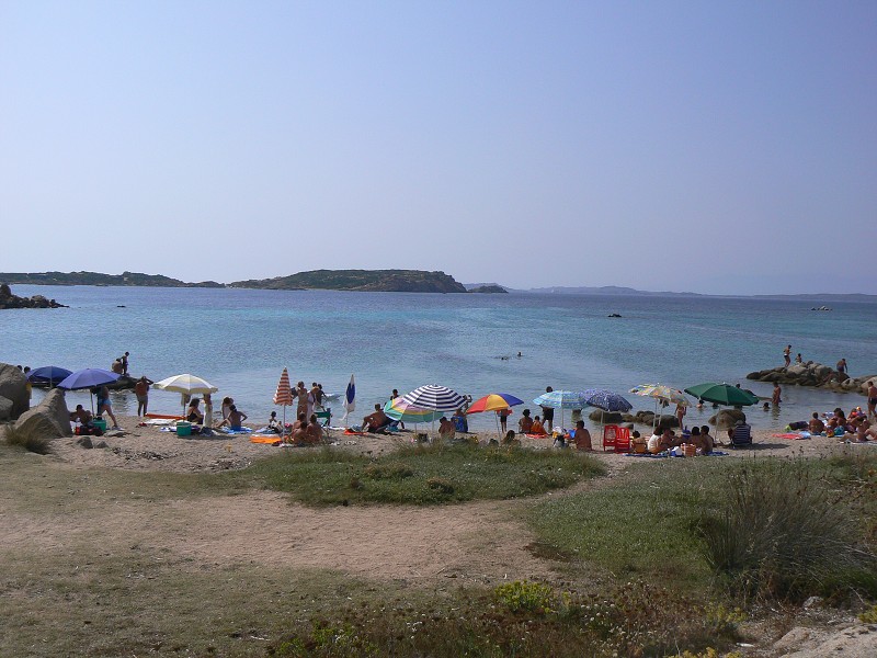 P1000246.jpg
