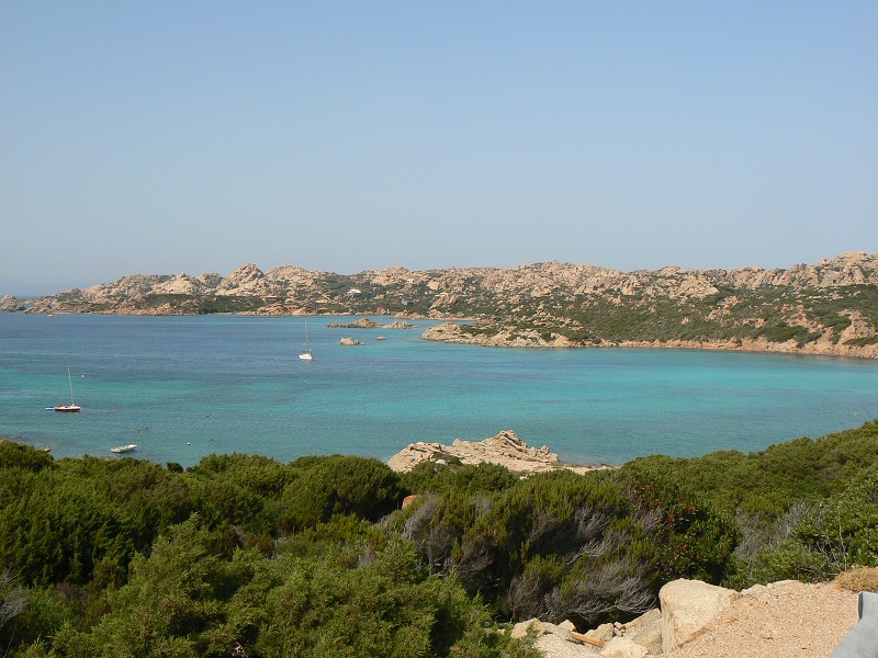 P1000247.jpg
