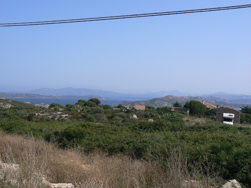 P1000253.jpg