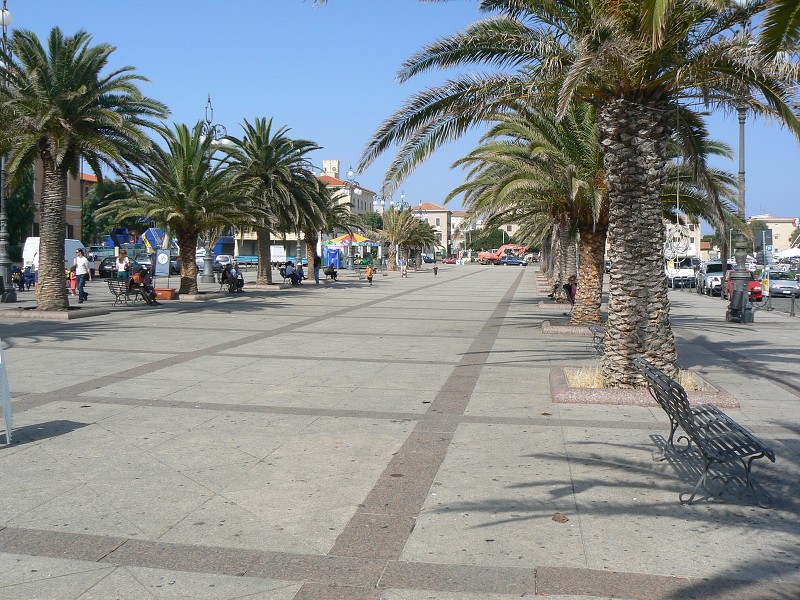 P1000255.jpg