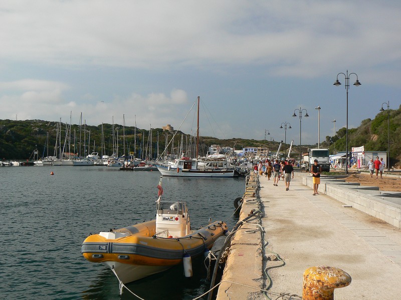 P1000266.jpg