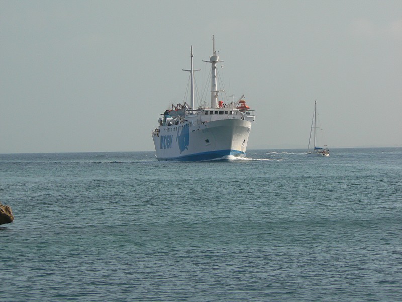P1000270.jpg
