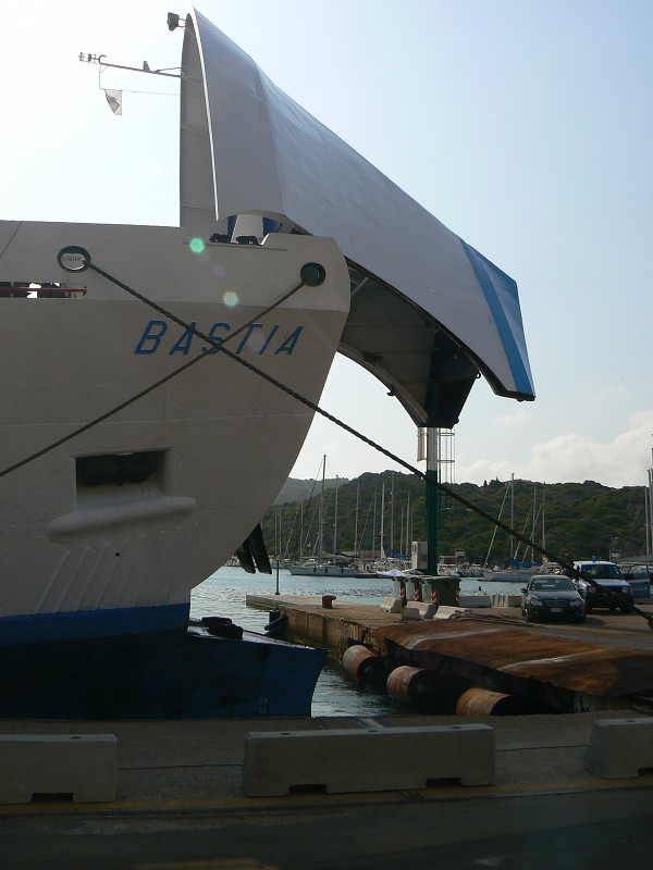 P1000273.jpg