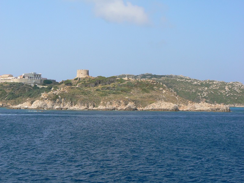 P1000282.jpg