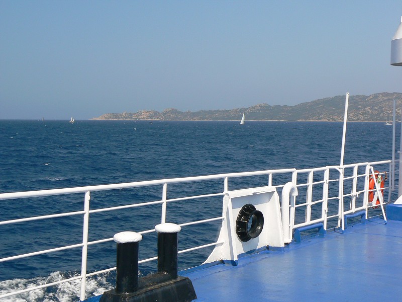 P1000291.jpg