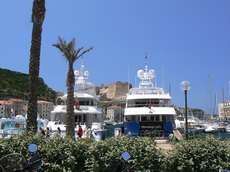P1000305.jpg