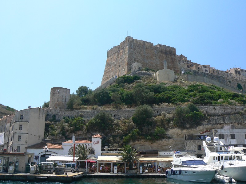 P1000310.jpg