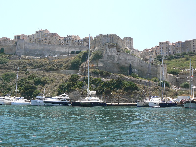 P1000314.jpg