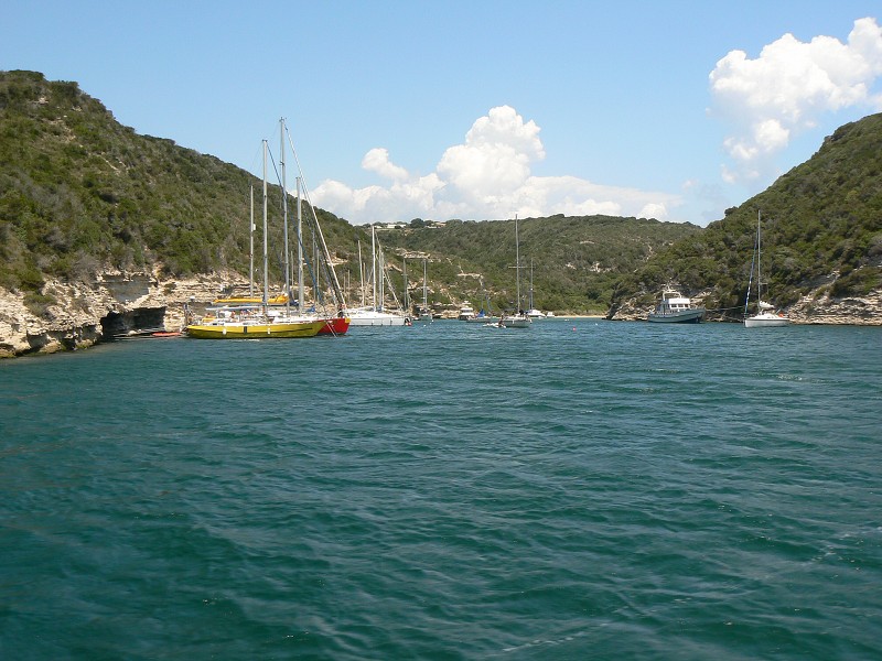 P1000315.jpg
