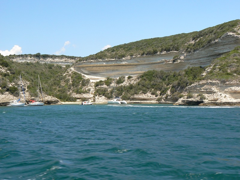 P1000317.jpg