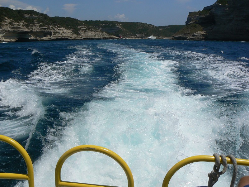 P1000321.jpg